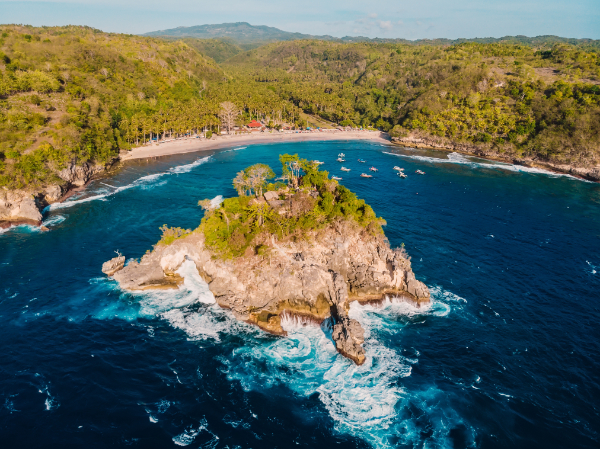 Beach with coconut palms and turquoise ocean with waves. Crystal bay, Nusa Penida. Aerial view